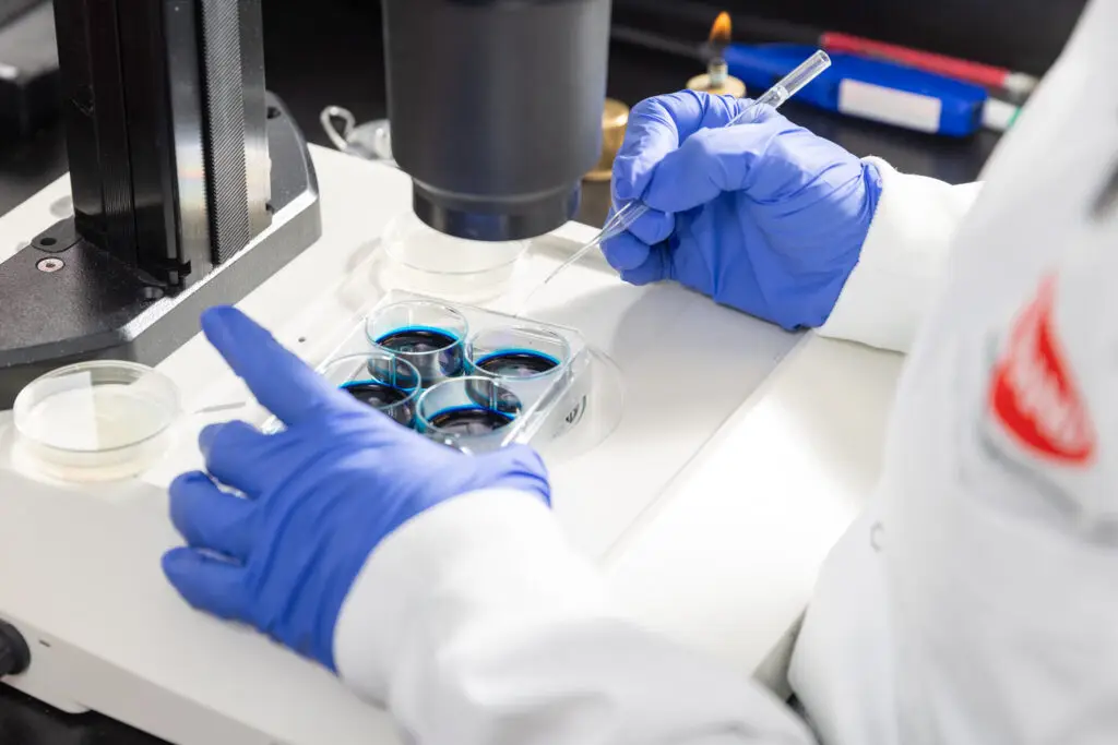 Scène lifestyle corporative en laboratoire : technicien(ne) en gants manipulant des échantillons près d'un microscope. / Corporate lifestyle lab scene: a technician wearing gloves handling samples near a microscope.